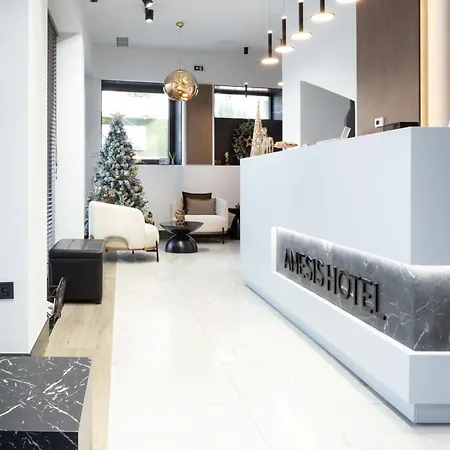 Hotel Anesis